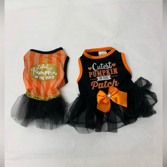 pet central Other - Cat  Dog Dress Costume  Halloween  Cutest Pumpkin In Patch Dress  Lot  2